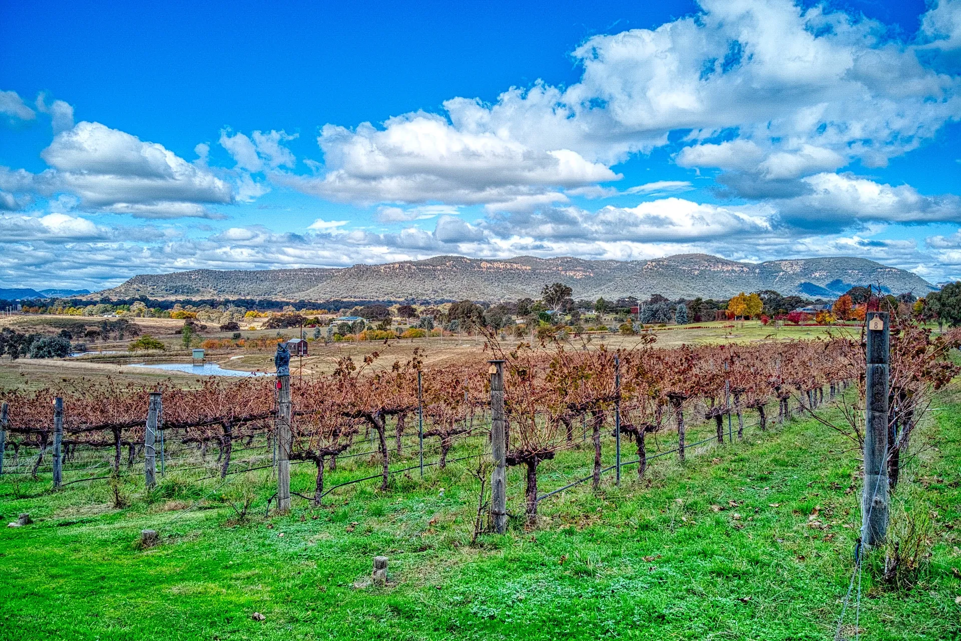 Rolling hills and countryside of the Mid-Western Region, NSW